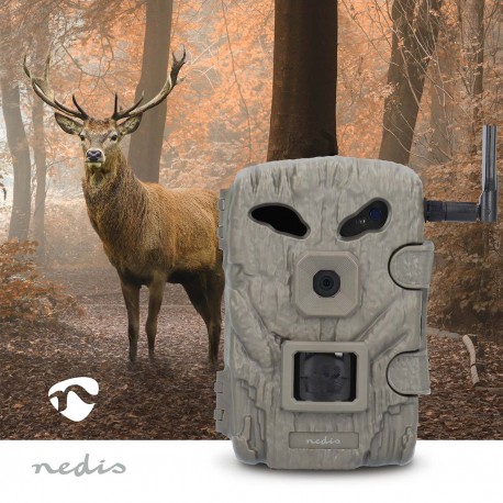 Camera de la faune - 2