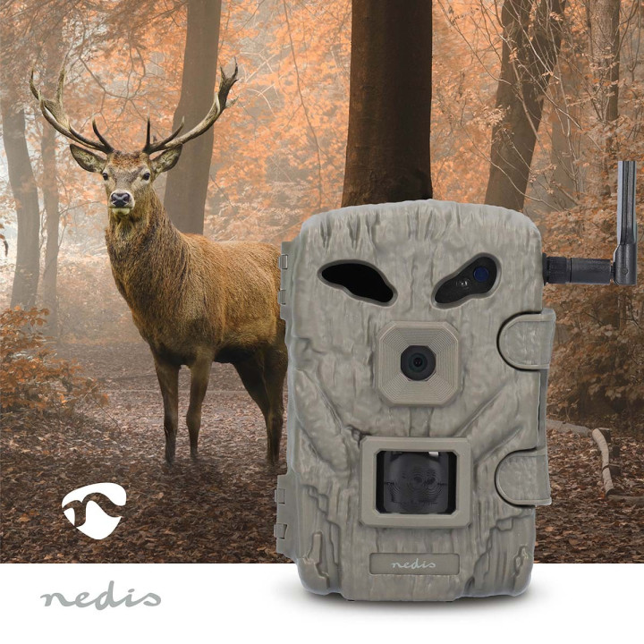 Camera de la faune  - 2