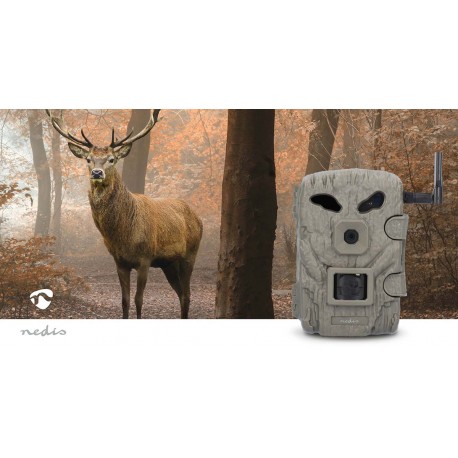 Camera de la faune - 10