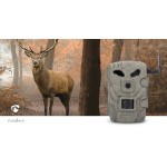 Camera de la faune - 10