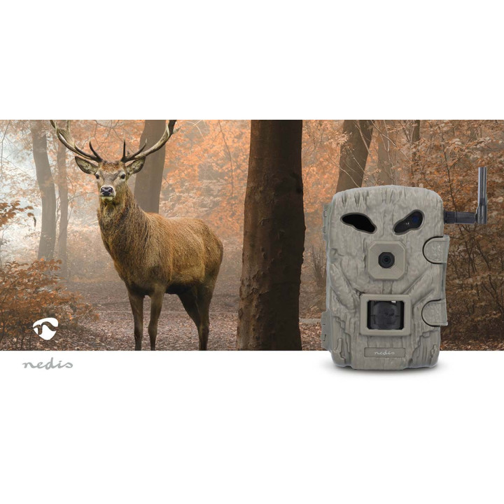 Camera de la faune  - 10