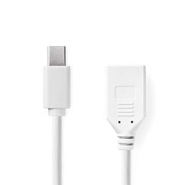 Mini câble Display Port  - 1