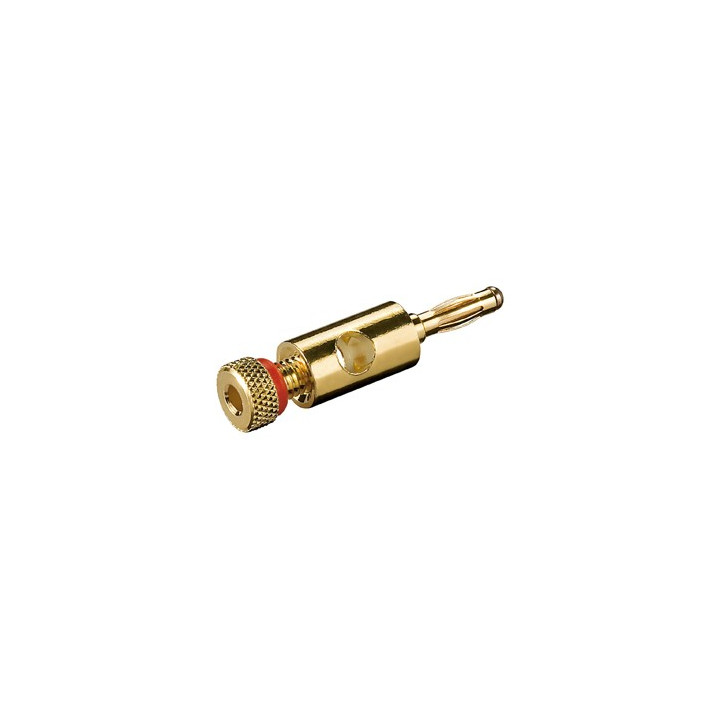 Fiche banane dorée à bague rouge pour audio