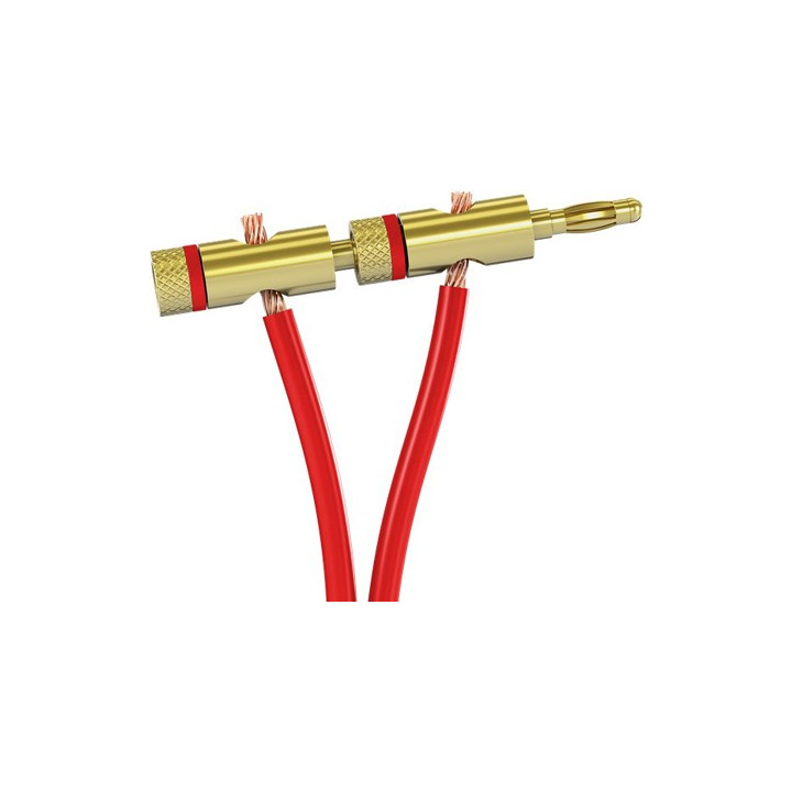 Fiche banane dorée à bague rouge pour audio