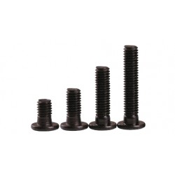 Vis à tête plate bas profil M5 - 1