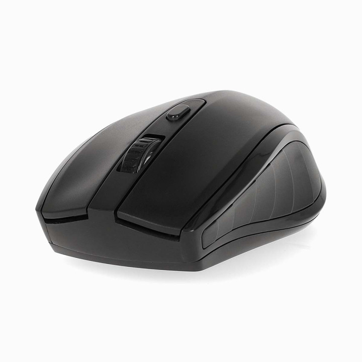 Souris  - 5