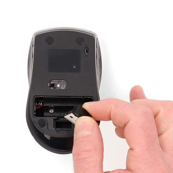 Souris  - 7