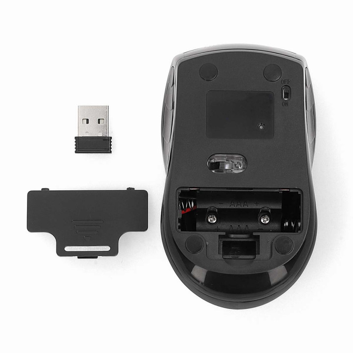 Souris  - 8