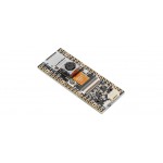 Module Caméra PiCowbell pour Raspberry Pi Pico