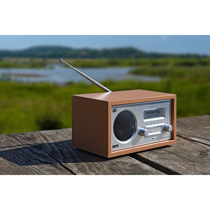 DABMAN 30 Mobile Wood  - 8