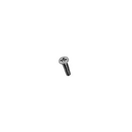Vis inox M2 x 10 mm