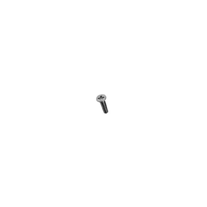 Vis inox M2 x 10 mm