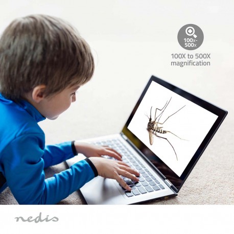 Caméra de Microscope - 11