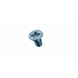 Vis Acier Zingué-bleu M3 x 6 mm