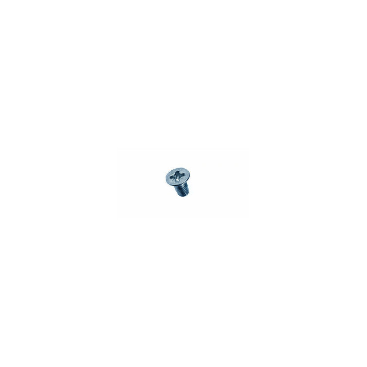 Vis Acier Zingué-bleu M3 x 6 mm