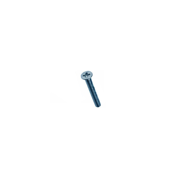 Vis Acier Zingué-bleu M3 x 25 mm