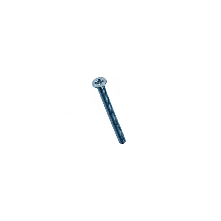 Vis Acier Zingué-bleu M3 x 40 mm