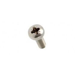 Vis inox A2 tête cylindrique bombée M3 x 10 mm