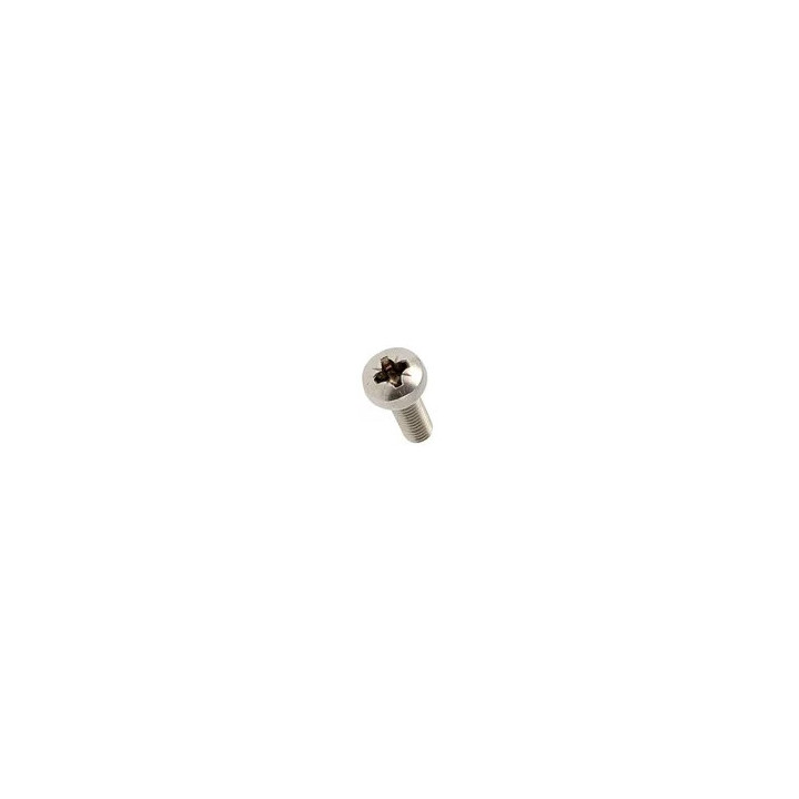 Vis inox A2 tête cylindrique bombée M3 x 10 mm
