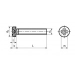 Dimensions Vis inox A2 tête cylindrique bombée M3 x 20 mm Dimensions Vis inox A2 tête cylindrique bombée M3 x 20 mm