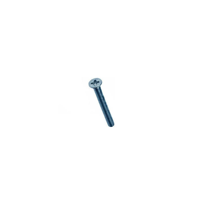Vis Acier Zingué-bleu M3 x 30 mm