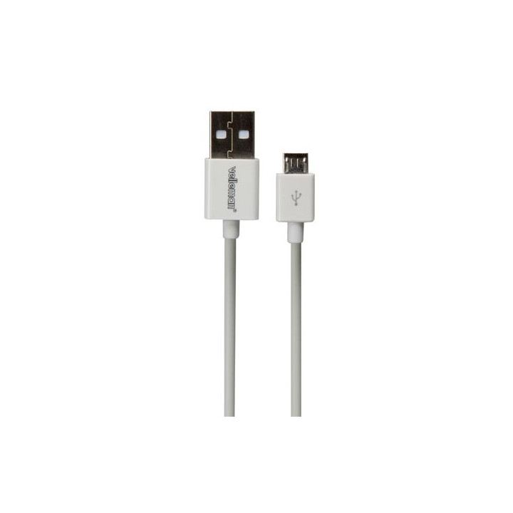 Cordon USB A mâle-micro-USB B mâle (2m)  - 1