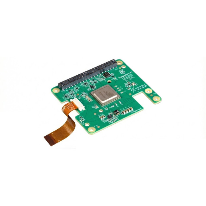 Kit AI Hailo SC1438 pour Raspberry Pi
