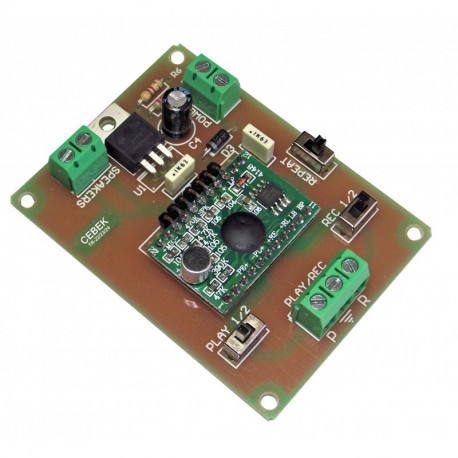 Lecteur enregistreur vocal 30 secondes TR-25
