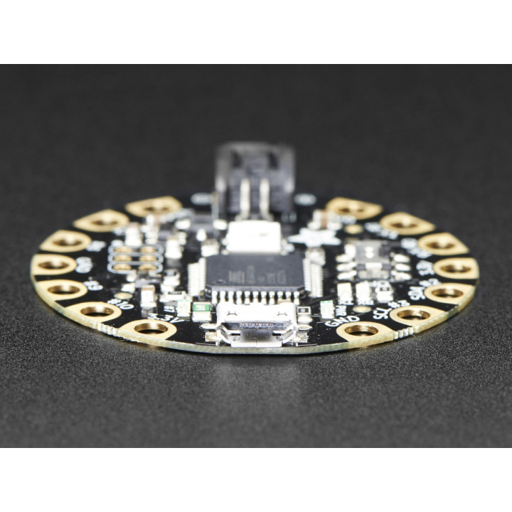 Vue du connecteur USB de la carte FLORA V3 659