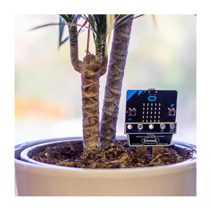 Exemple d'utilisation du capteur d'humidité de sol pour micro:bit