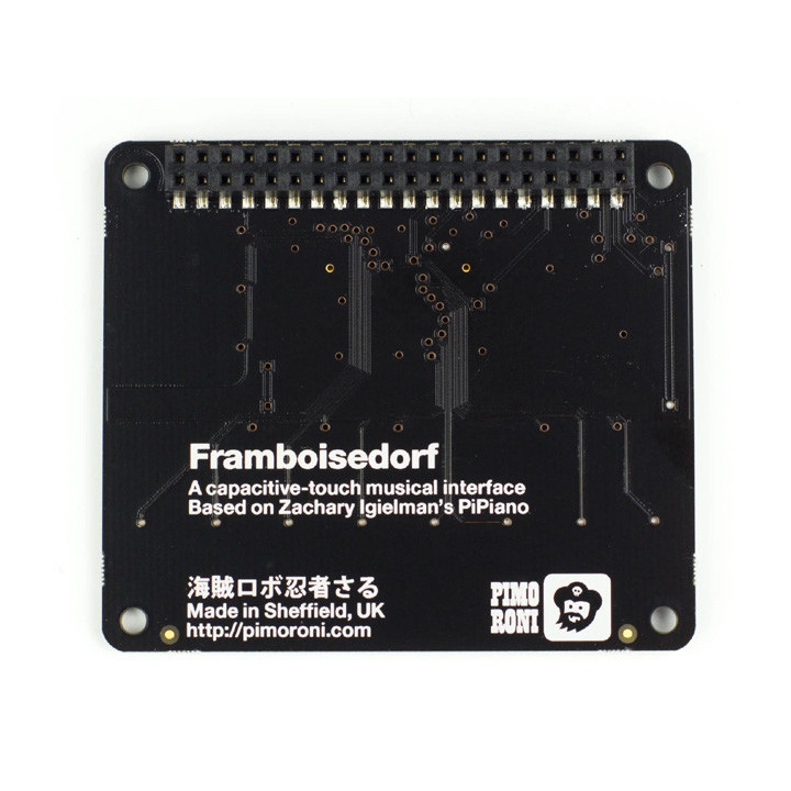 Vue de dessous de la platine d'extension Shield Piano HAT pour Raspberry