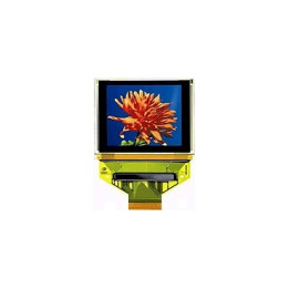 Afficheur OLED couleur 1.69"  - 1