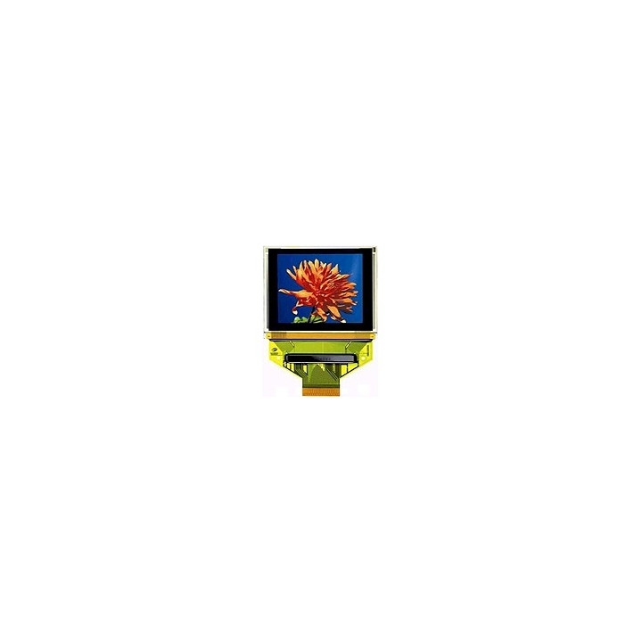 Afficheur OLED couleur 1.69"  - 1
