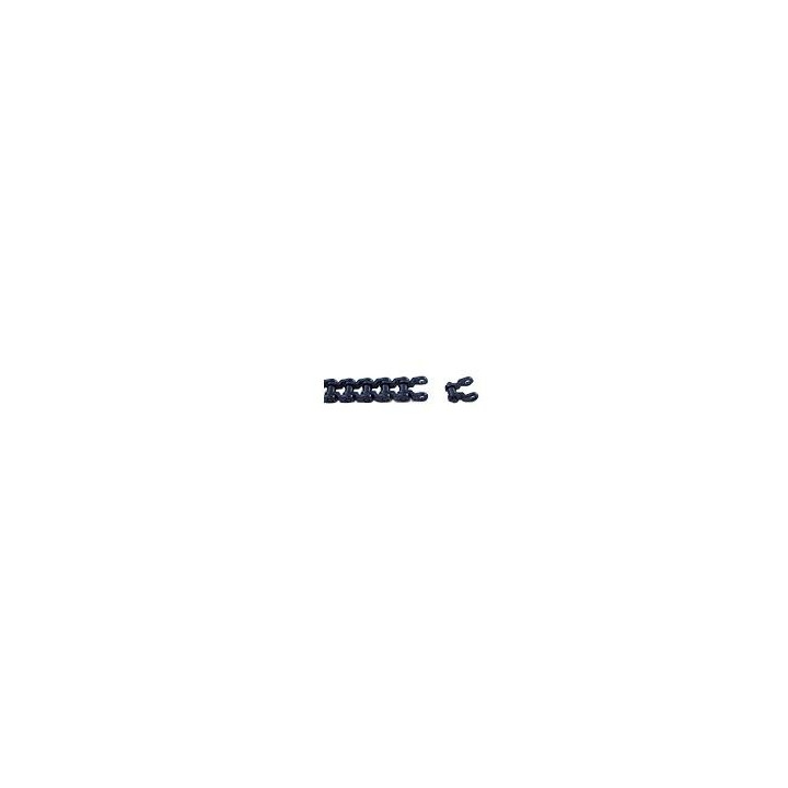 C1227 Chaine plastique pour roues dentées série Sxxx