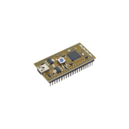 Module microcontrôlé mbed LPC11U24 (Cortex-M0) format DIP 40 broches