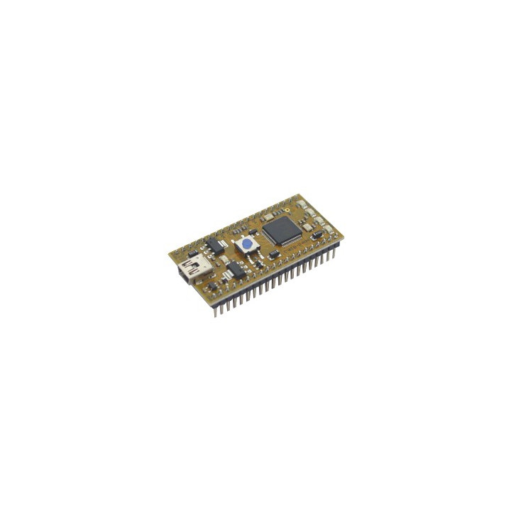 Module microcontrôlé mbed LPC11U24 (Cortex-M0) format DIP 40 broches