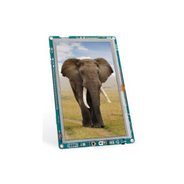Platine afficheur graphique "mikromedia plus for STM32F7"
