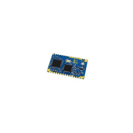 Module radio OEM LoRaWAN & Peer-to-peer  - 1
