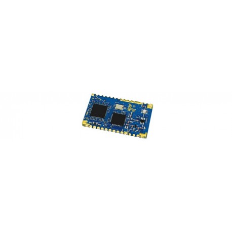 Module radio OEM LoRaWAN & Peer-to-peer - 1