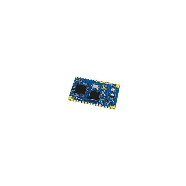 Module radio OEM LoRaWAN & Peer-to-peer  - 1