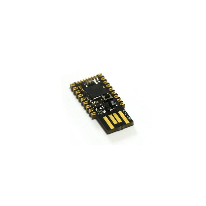 Module Espruino Pico sans connecteurs et interpréteur JavaScript