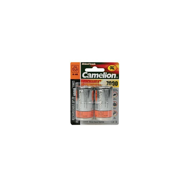 Accus 1,2V/7000mA (D/R20 x2)  - 1