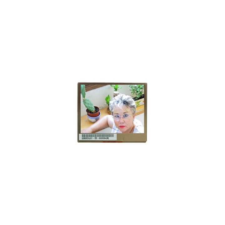 Ecran TFT couleur OEM