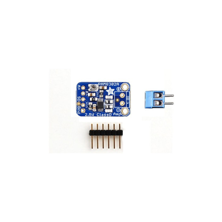 Amplificateur audio Mono 2,5 W