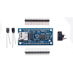 Module lecteur-enregistreur audio - 1