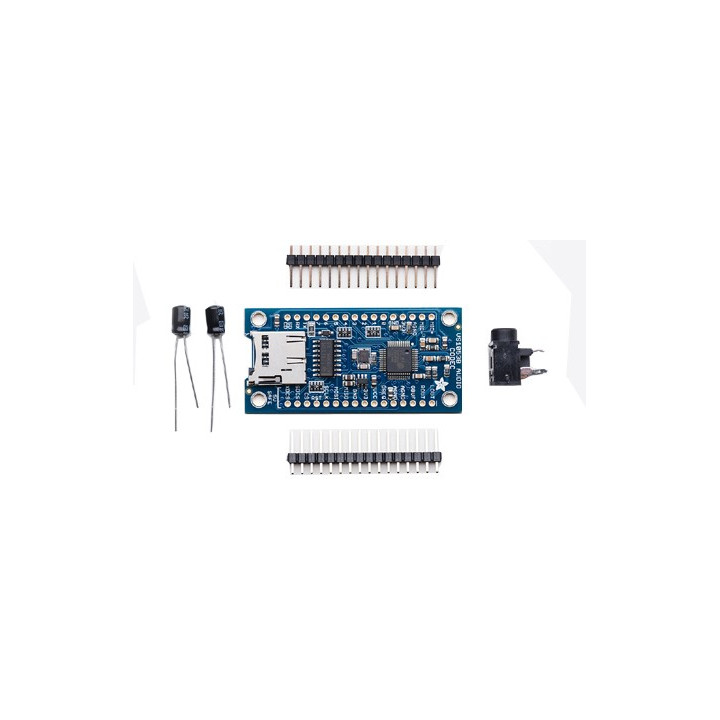 Module lecteur-enregistreur audio  - 1
