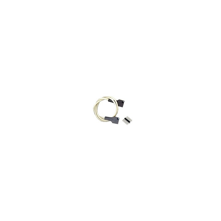 Cordon Pmod 6 Pin Cable Connector 18"  - 1