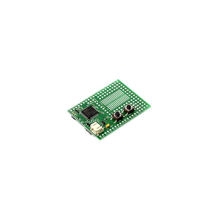 Platine Espruino Board  ARM™ Cortex M3™ avec interpréteur JavaScript
