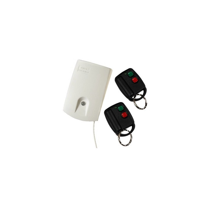 Ensemble de télécommande monocanal SET052T