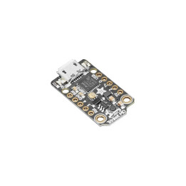 Module Trinket M0